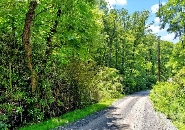 Photo 3 of Land for sale at Tbd Durham Ave, Black Mountain, NC 28711 | MLS# 4401253 | Listing updated on 2026-09-21
