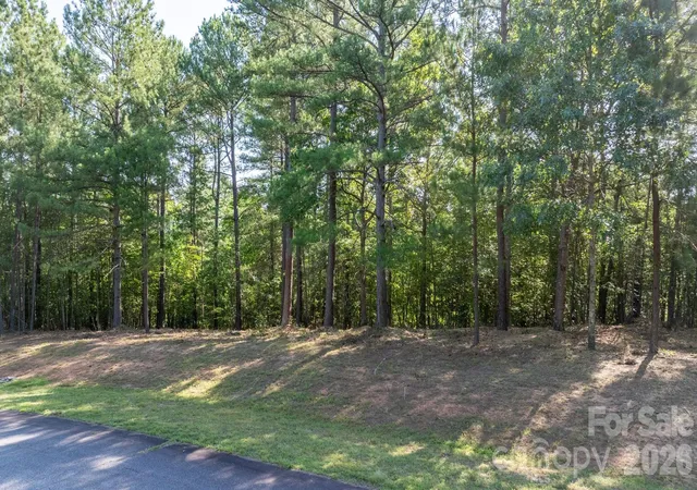 4th image of 312 Twin Cove Dr #137, Connelly Springs, NC 28612 | MLS# 4401284
