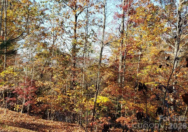 Homes for sale in Pisgah Forest, NC | Tbd Top Oaks Ln #Lot 58, Pisgah Forest, NC 28768 | MLS# 4401372