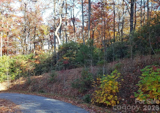 Homes for sale in Pisgah Forest, NC | Tbd Top Oaks Ln #Lot 58, Pisgah Forest, NC 28768 | MLS# 4401372