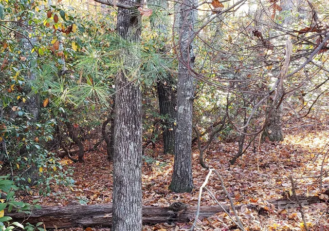 Homes for sale in Pisgah Forest, NC | Tbd Top Oaks Ln #Lot 58, Pisgah Forest, NC 28768 | MLS# 4401372