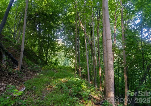 1st image of 00 Ragans Pointe #58, Columbus, NC 28722 | MLS# 4401409
