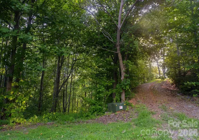 3rd image of 00 Ragans Pointe #58, Columbus, NC 28722 | MLS# 4401409