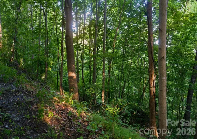 4th image of 00 Ragans Pointe #58, Columbus, NC 28722 | MLS# 4401409