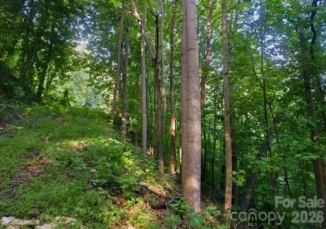 5th image of 00 Ragans Pointe #58, Columbus, NC 28722 | MLS# 4401409