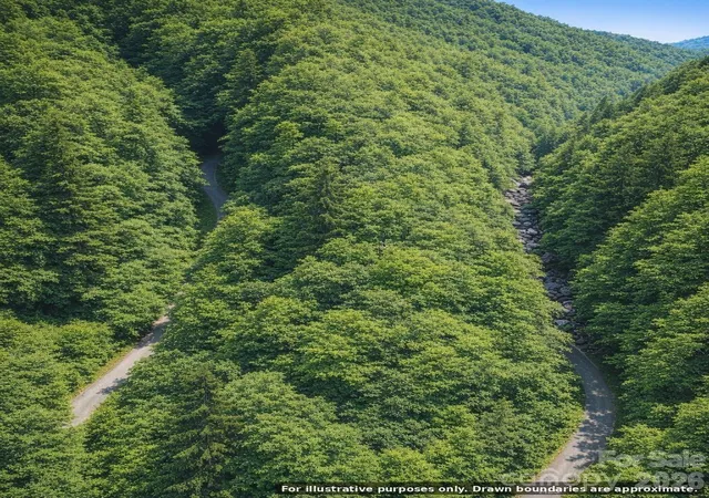 Photo 4 of Land for sale at 0000 Rainbow Trout Dr, Burnsville, NC 28714 | MLS# 4401429 | Listing updated on 2026-08-17