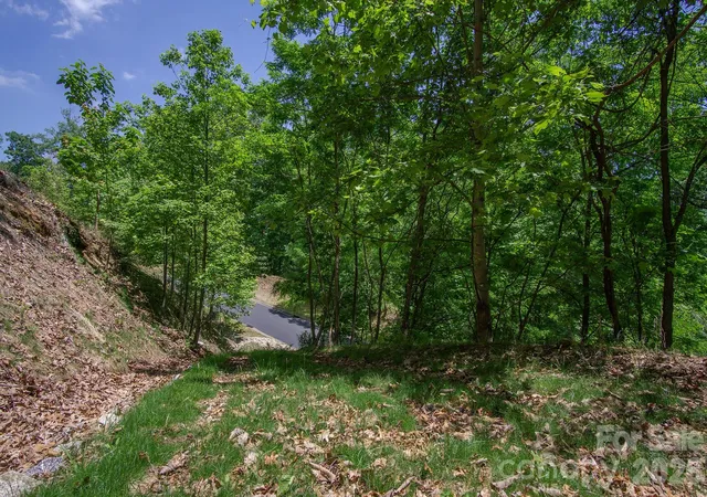 Homes for sale in Horse Shoe, NC | Lot 53r Mills River Wy #Lot 53R, Horse Shoe, NC 28742 | MLS# 4401454