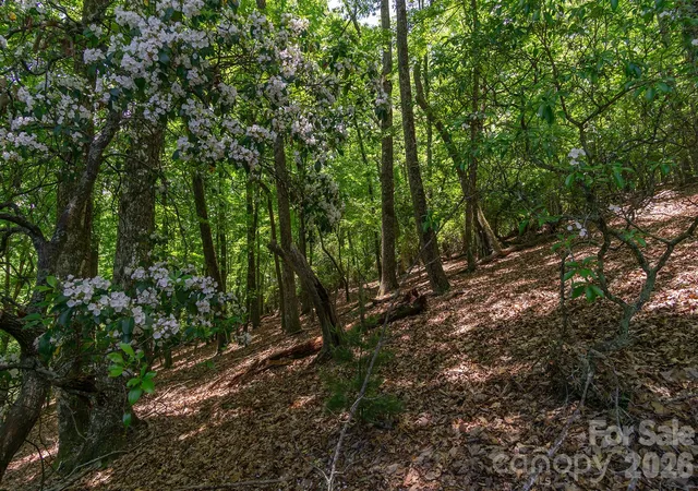 Homes for sale in Horse Shoe, NC | Lot 53R Mills River Wy #Lot 53R, Horse Shoe, NC 28742 | MLS# 4401454