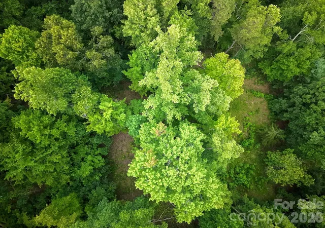 Photo 3 of Land for sale at 120 Ben Lippen School Rd, Asheville, NC 28806 | MLS# 4401465 | Listing updated on 2026-10-03