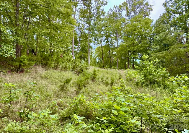 Photo 3 of Land for sale at 120 Ben Lippen School Rd, Asheville, NC 28806 | MLS# 4401465 | Listing updated on 2026-10-03