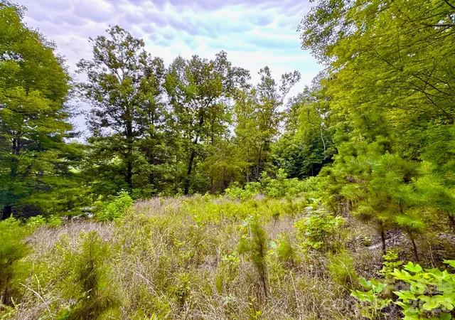 Photo 4 of Land for sale at 120 Ben Lippen School Rd, Asheville, NC 28806 | MLS# 4401465 | Listing updated on 2026-10-03