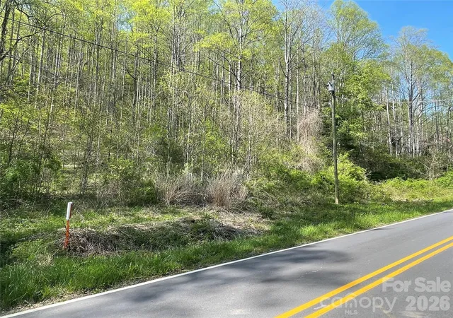 1st image of 99999 Martins Creek Rd, Barnardsville, NC 28709 | MLS# 4401478