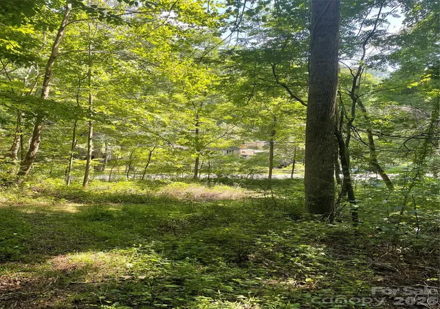 16th image of 99999 Martins Creek Rd, Barnardsville, NC 28709 | MLS# 4401478