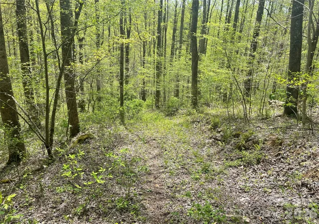 2nd image of 99999 Martins Creek Rd, Barnardsville, NC 28709 | MLS# 4401478