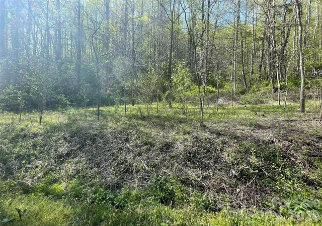 3rd image of 99999 Martins Creek Rd, Barnardsville, NC 28709 | MLS# 4401478
