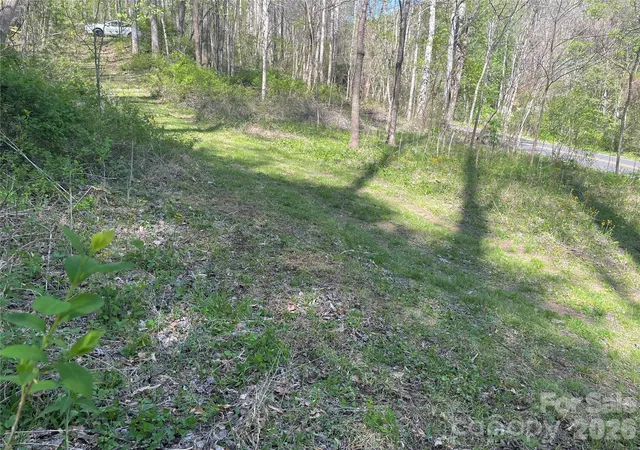 4th image of 99999 Martins Creek Rd, Barnardsville, NC 28709 | MLS# 4401478