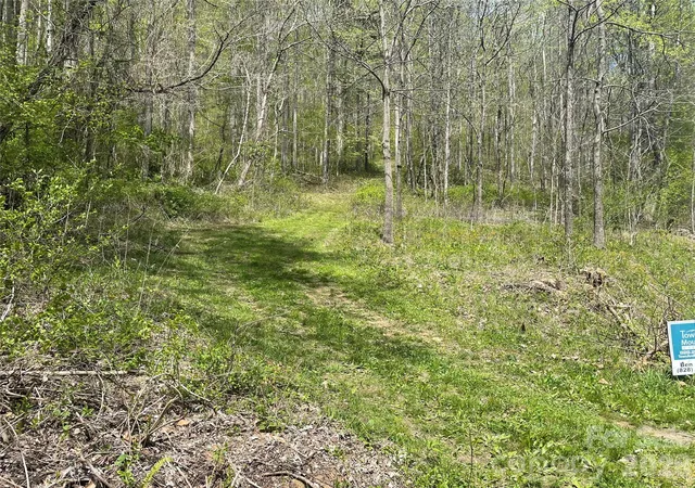 5th image of 99999 Martins Creek Rd, Barnardsville, NC 28709 | MLS# 4401478