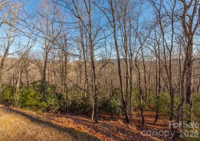Homes for sale in Horse Shoe, NC | 80 Buckhead Trl #27, Horse Shoe, NC 28742 | MLS# 4401486