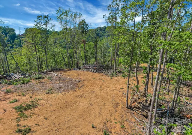 1st image of Tbd Early Rd, Saluda, NC 28773 | MLS# 4401500