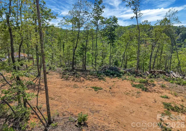 2nd image of Tbd Early Rd, Saluda, NC 28773 | MLS# 4401500