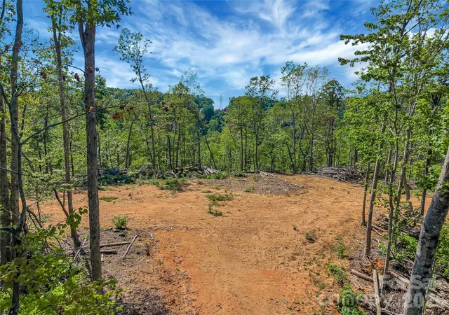 3rd image of Tbd Early Rd, Saluda, NC 28773 | MLS# 4401500