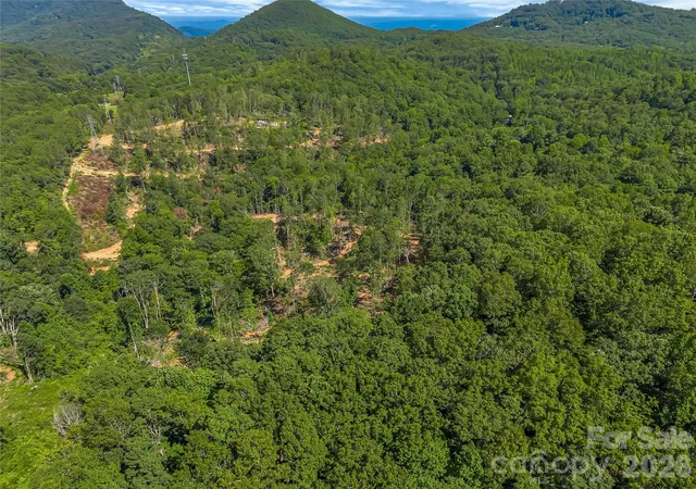 35th image of Tbd Early Rd, Saluda, NC 28773 | MLS# 4401500