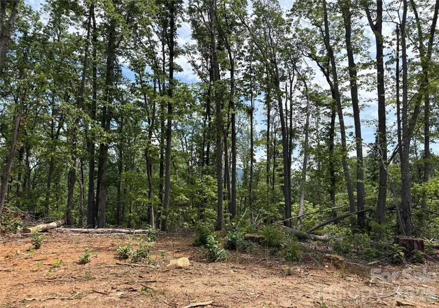 4th image of Tbd Early Rd, Saluda, NC 28773 | MLS# 4401500