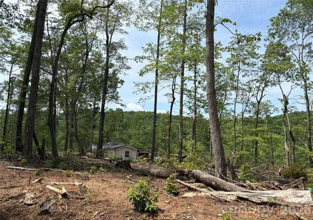 5th image of Tbd Early Rd, Saluda, NC 28773 | MLS# 4401500