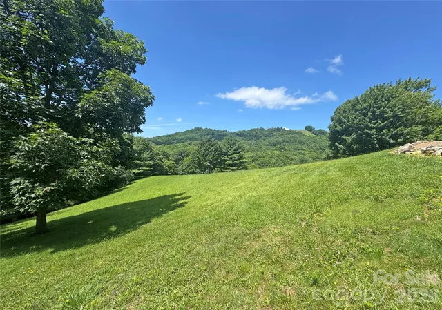 Homes for sale in Hot Springs, NC | 299 Basswood Rd, Hot Springs, NC 28743 | MLS# 4401516