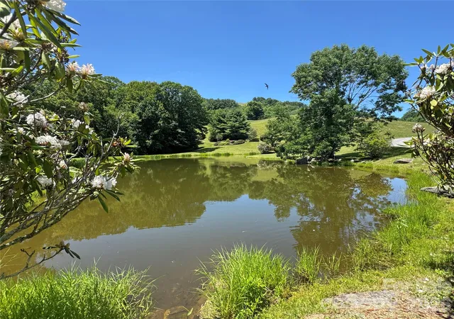 Homes for sale in Hot Springs, NC | 299 Basswood Rd, Hot Springs, NC 28743 | MLS# 4401516