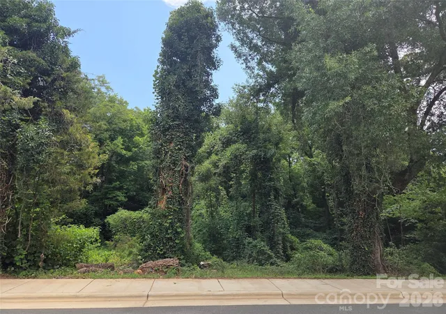 Photo 3 of Land for sale at 715 Old Charlotte Rd SW, Concord, NC 28027 | MLS# 4401567 | Listing updated on 2026-07-24