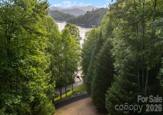 Photo 4 of Single family home for sale at 317 Von Trapp Ln, Tuckasegee, NC 28783 | MLS# 4401631 | Listing updated on 2026-08-29