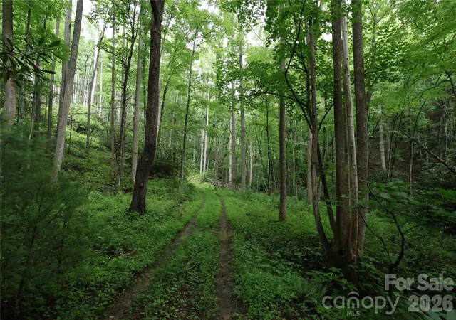 Land for sale at Tbd Blowing Rock Rd, Lenoir, NC 28645 | MLS# 4401676