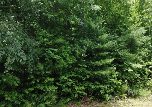 Homes for sale in Lenoir, NC | Tbd Blowing Rock Rd, Lenoir, NC 28645 | MLS# 4401676