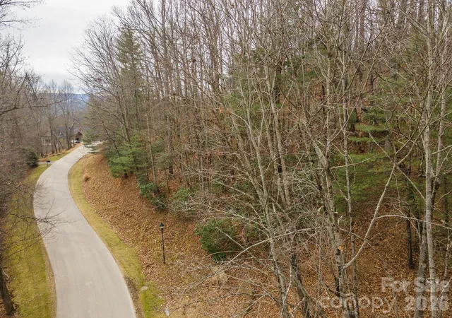 Homes for sale in Hendersonville, NC | 24 Falls Ln, Hendersonville, NC 28739 | MLS# 4401711