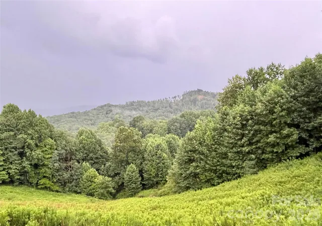 Photo 3 of Single family home for sale at 244 Flt Springs Rd, Elk Park, NC 28622 | MLS# 4401823 | Listing updated on 2026-08-24