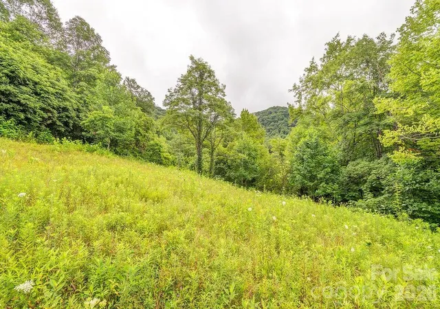 Photo 36 of Single family home for sale at 8485 Meadow Frk Rd, Hot Springs, NC 28743 | MLS# 4401894 | Listing updated on 2026-08-26