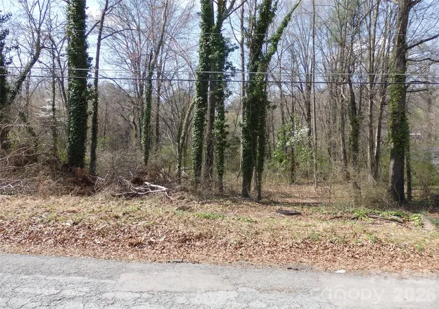 Homes for sale in Asheboro, NC | 0 Chestnut St #17-19, Asheboro, NC 27203 | MLS# 4401897