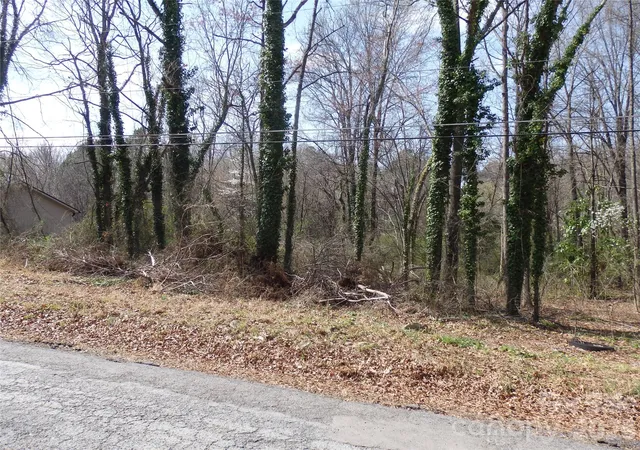 Homes for sale in Asheboro, NC | 0 Chestnut St #17-19, Asheboro, NC 27203 | MLS# 4401897
