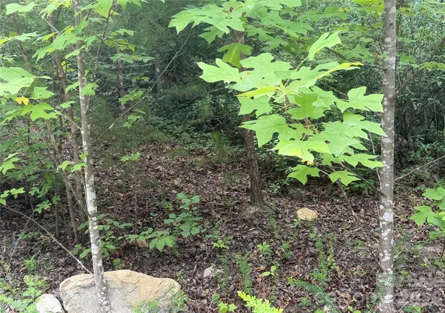 Photo 3 of Land for sale at 6 Dobsons Knob Loop, Marion, NC 28752 | MLS# 4401921 | Listing updated on 2026-07-10