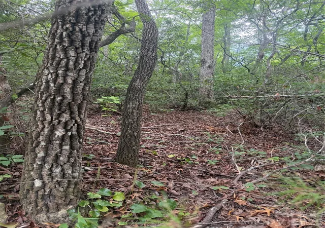 Photo 4 of Land for sale at 6 Dobsons Knob Loop, Marion, NC 28752 | MLS# 4401921 | Listing updated on 2026-07-10
