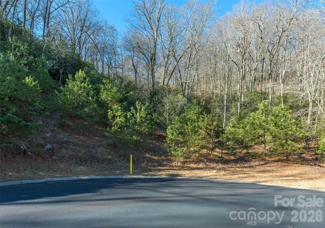 Homes for sale in Horse Shoe, NC | 9999 Mayfly Ln #106, Horse Shoe, NC 28742 | MLS# 4401944