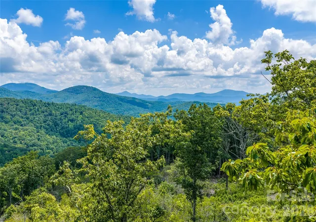 image of 99999 E Garden Trl #46, Fletcher, NC 28732 | MLS# 4402068