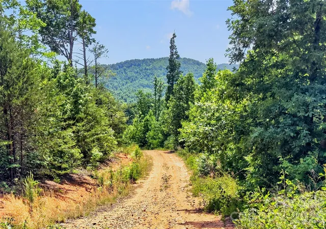 Photo 3 of Land for sale at 272 Randolph Dr #1, Marion, NC 28752 | MLS# 4402073 | Listing updated on 2026-08-30