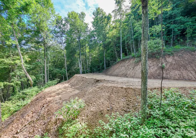 Photo 3 of Land for sale at 00 Fls View Dr #50, Bryson City, NC 28713 | MLS# 4402191 | Listing updated on 2026-09-07
