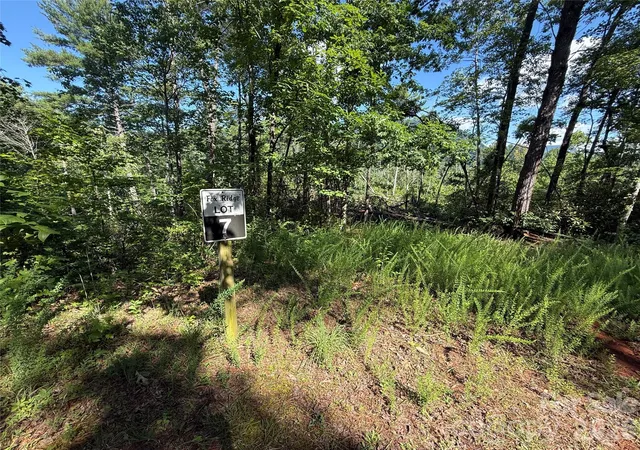 Photo 2 of Land for sale at 999 Fox Ridge Trl #7, Marion, NC 28752 | MLS# 4402202 | Listing updated on 2026-07-10