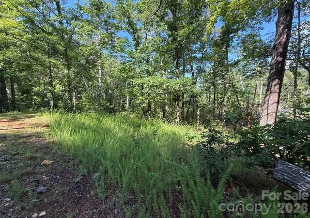 Photo 3 of Land for sale at 999 Fox Ridge Trl #7, Marion, NC 28752 | MLS# 4402202 | Listing updated on 2026-07-10
