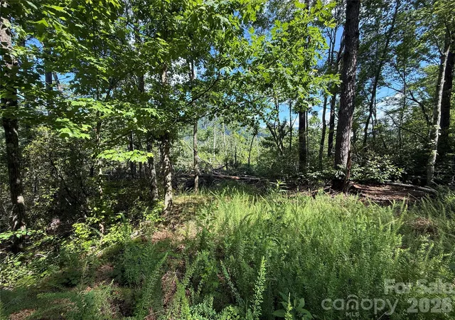 Photo 3 of Land for sale at 999 Fox Ridge Trl #7, Marion, NC 28752 | MLS# 4402202 | Listing updated on 2026-07-10