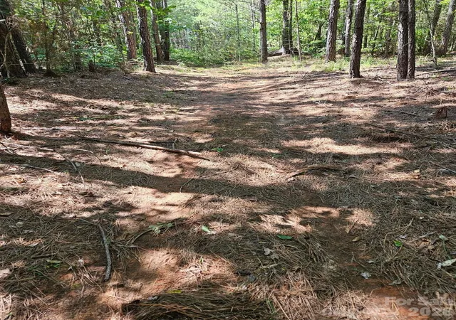 Photo 1 of Land for sale at 00 Cypress Dr, Winnsboro, SC 29180 | MLS# 4402229 | Listing updated on 2026-08-12