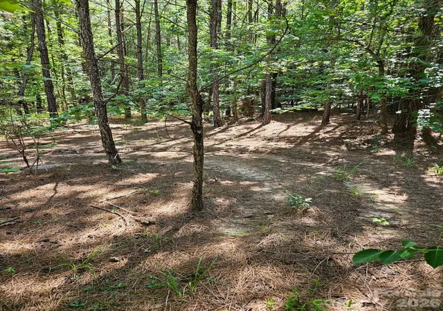 Photo 2 of Land for sale at 00 Cypress Dr, Winnsboro, SC 29180 | MLS# 4402229 | Listing updated on 2026-08-12